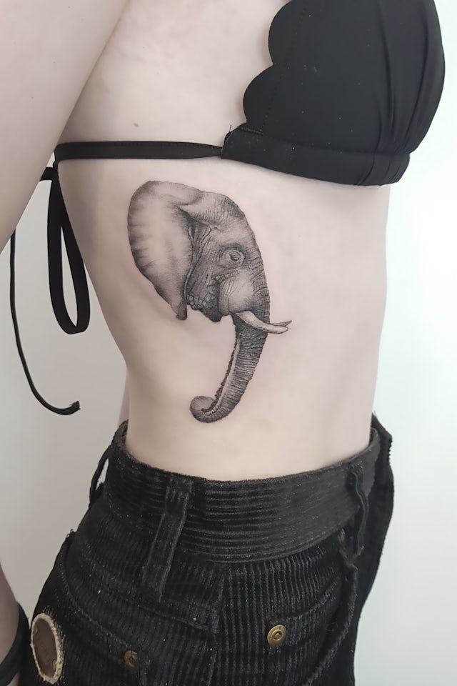 Olifant, elephant